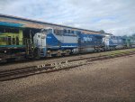 RUMO 9892